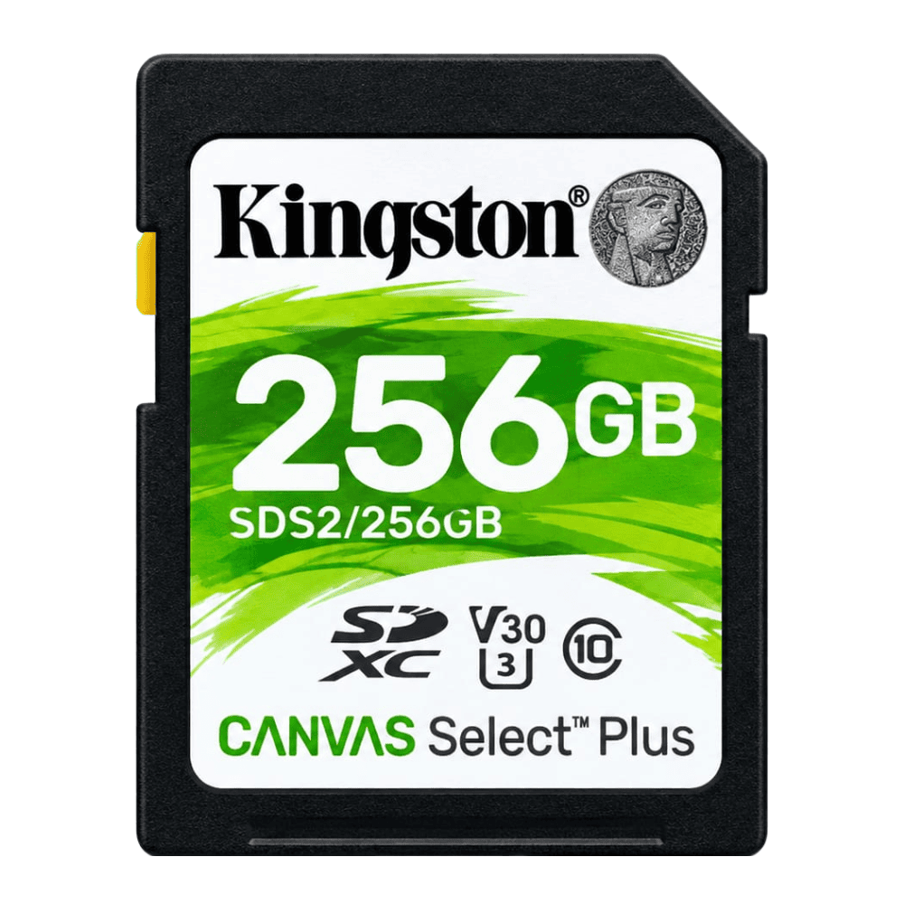 Memoria SD 256GB SDS2/100MBS Kingston
